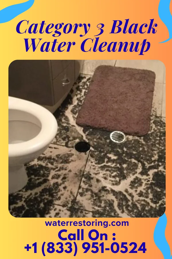 Category 3 Black Water Cleanup in Balfour, NC